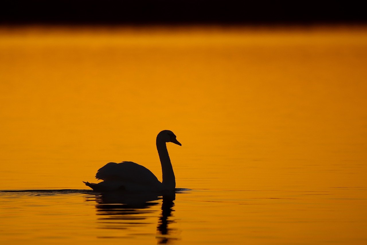 MEDITARE PERCHE’……